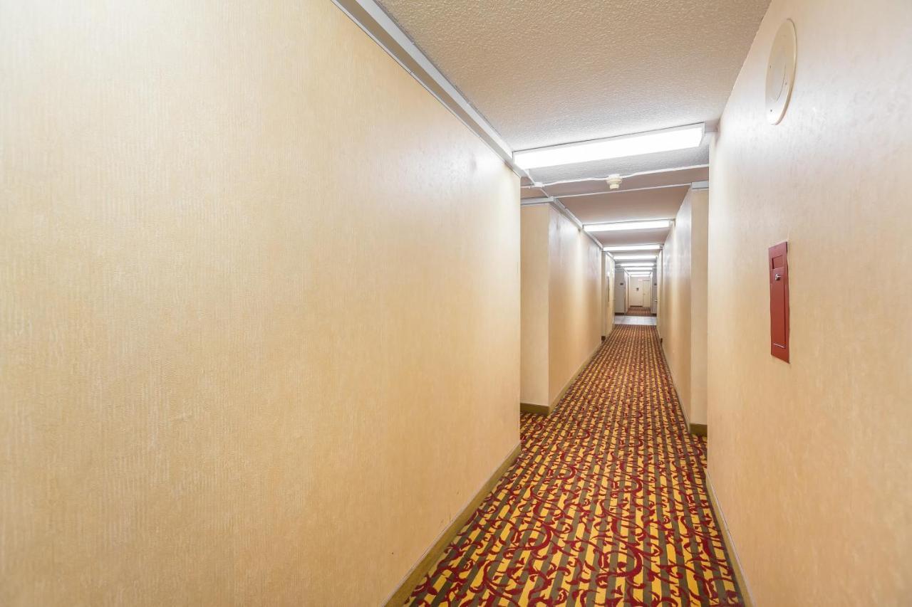 Toronto Furnished Living-Gerard公寓 外观 照片