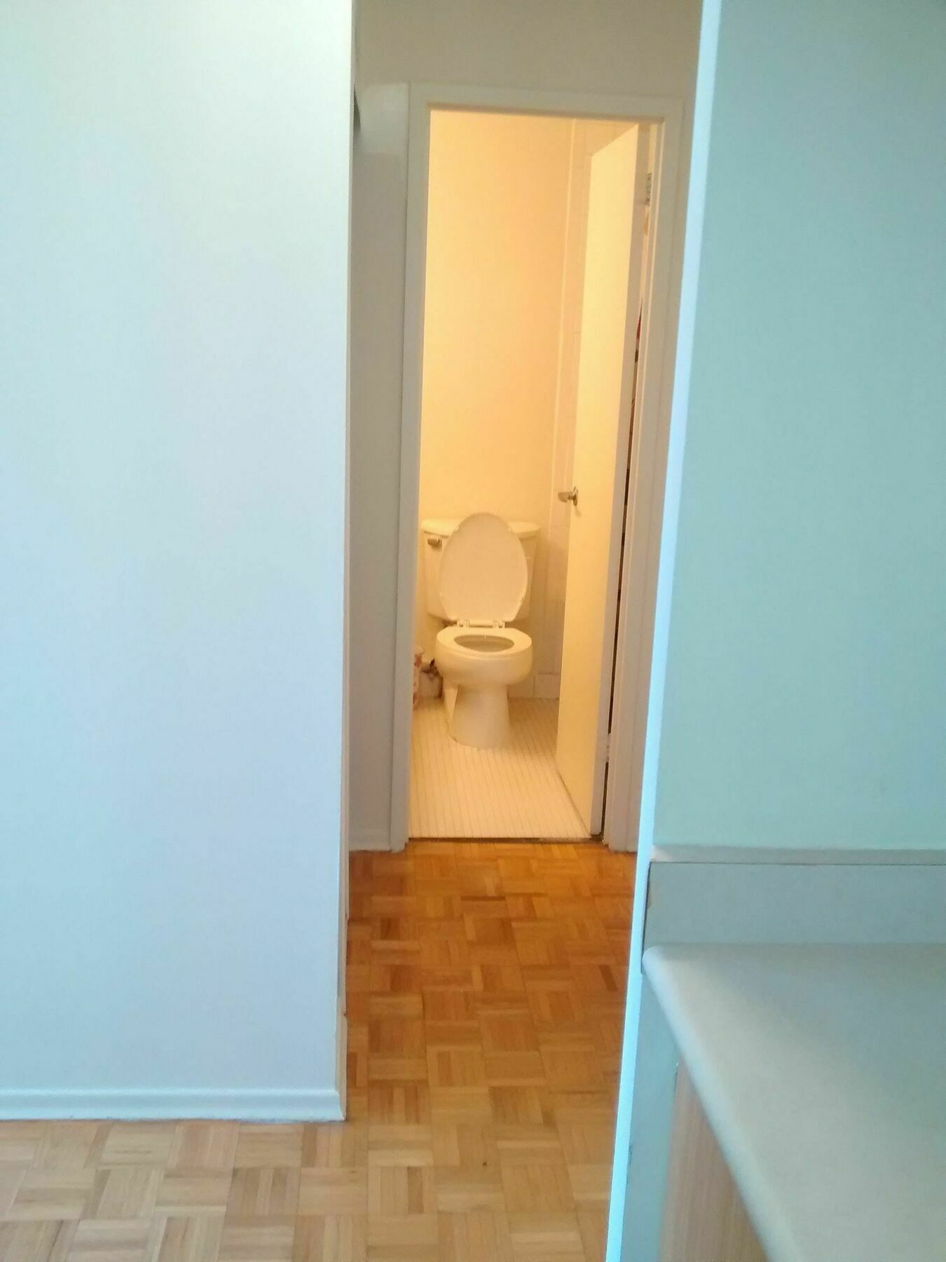 Toronto Furnished Living-Gerard公寓 外观 照片