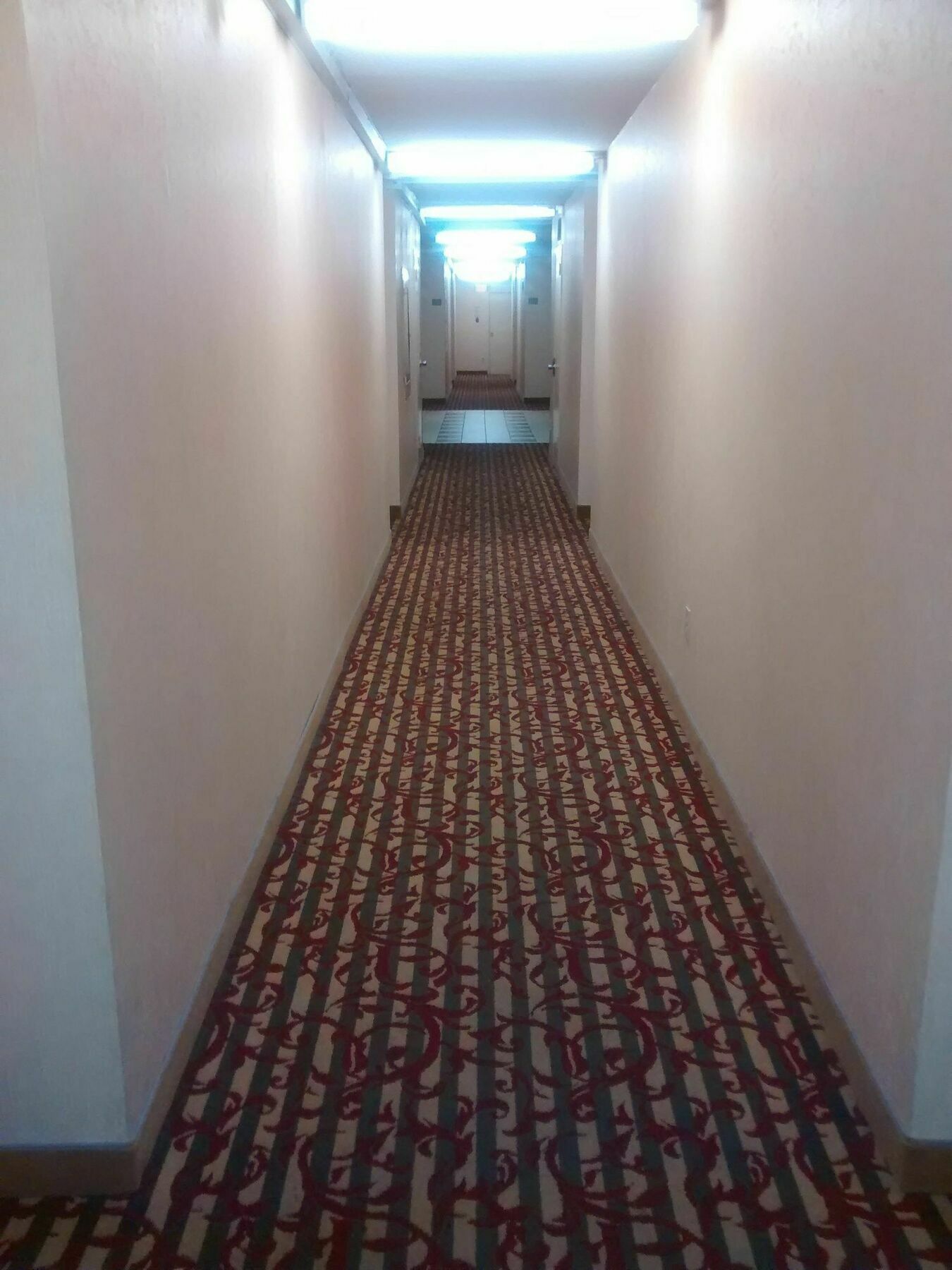 Toronto Furnished Living-Gerard公寓 外观 照片